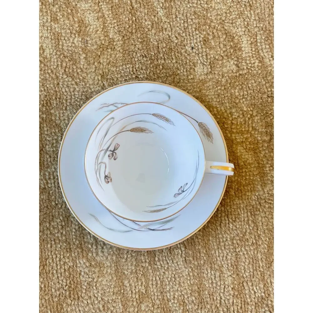Lovely Vintage Noritake Flat Cup & Saucer Set Japan